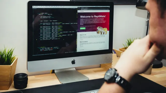 Web Frontend təlimi