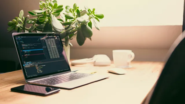 Frontend, Backend və Fullstack: Hansı sənə uyğundur?