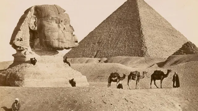 Tarix təlimi